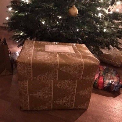 Kerstpakketten geven/ontvangen - Cadeau onder boom